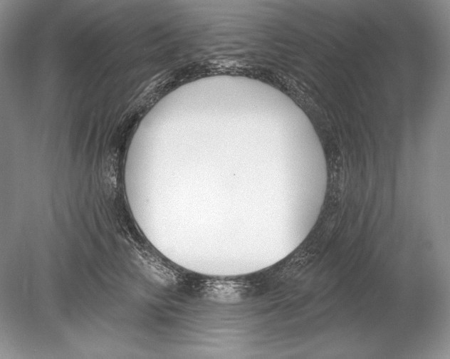 X0000078890710200612111805