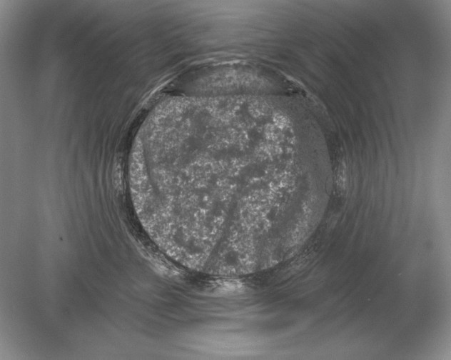 X0000078890715200612111805