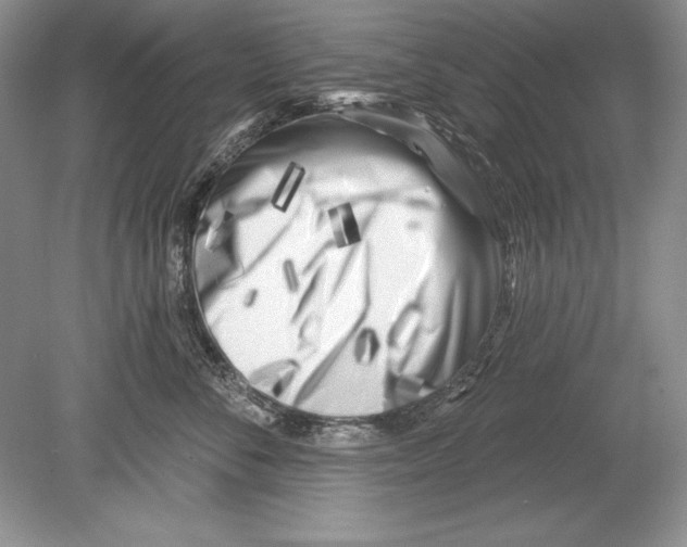 X0000078890716200612111805