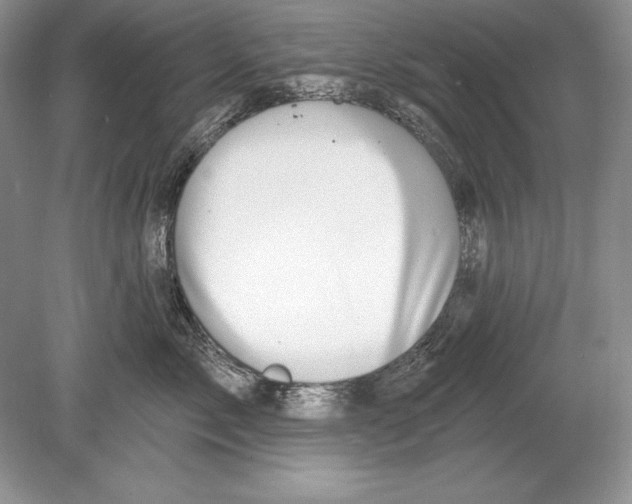 X0000078890717200612111805