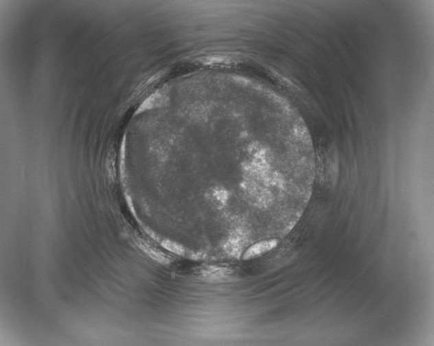 X0000078890718200612111805