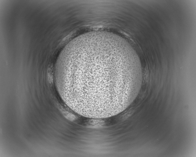 X0000078890719200612111805