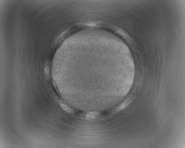 X0000078890720200612111805