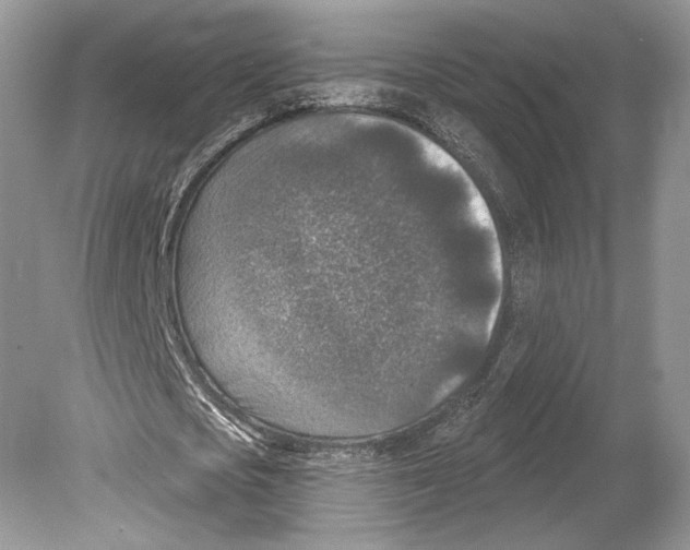 X0000078890721200612111804