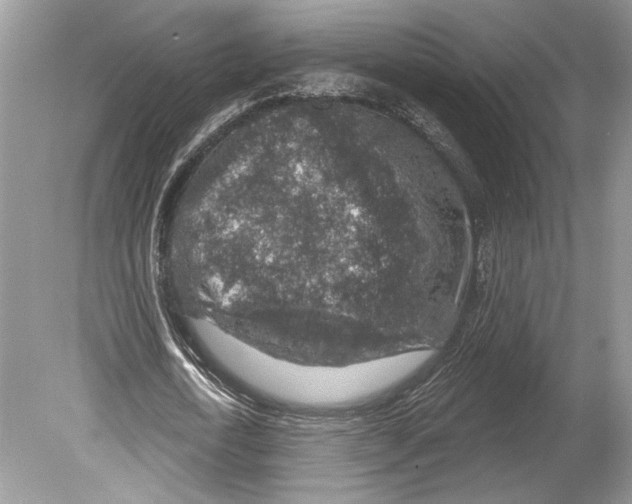 X0000078890722200612111804