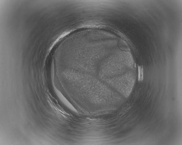 X0000078890723200612111804