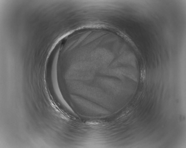 X0000078890724200612111804