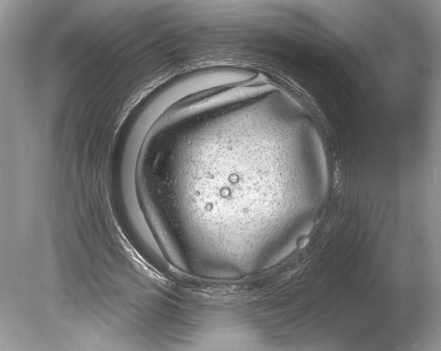 X0000078890725200612111804