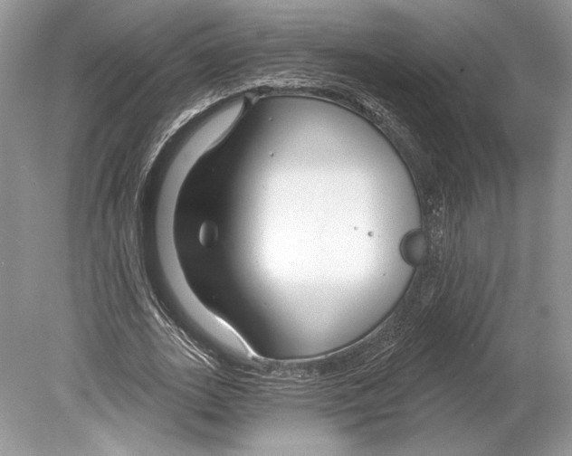 X0000078890727200612111804