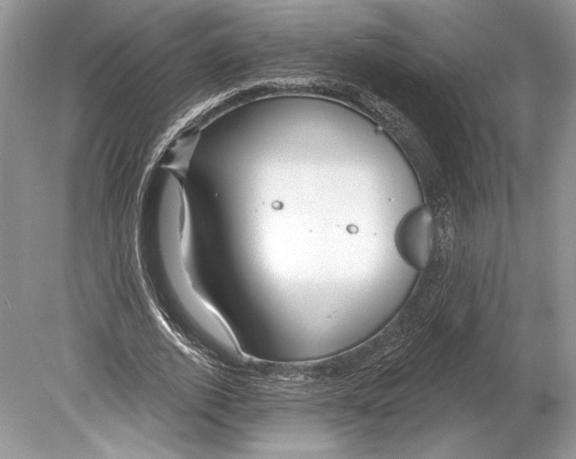 X0000078890728200612111804