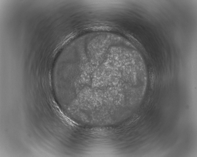 X0000078890729200612111804