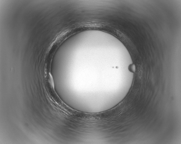 X0000078890731200612111804