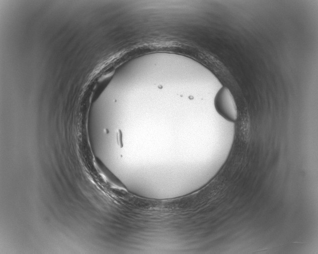 X0000078890732200612111804