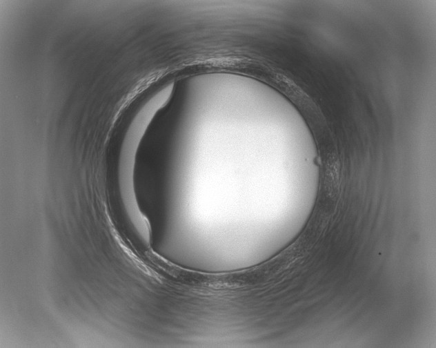 X0000078890734200612111804