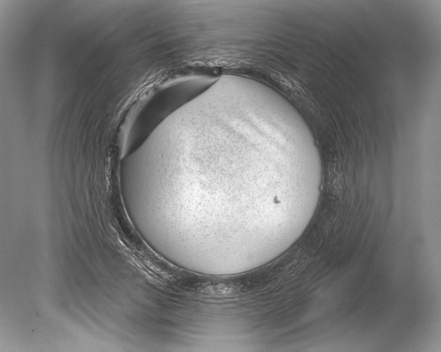 X0000078890735200612111804