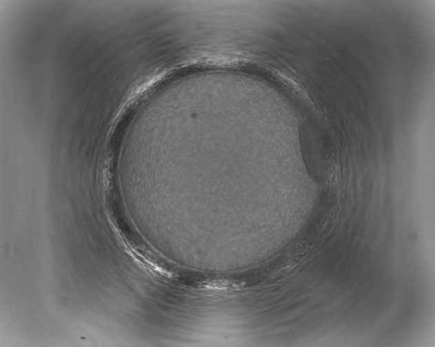 X0000078890736200612111804