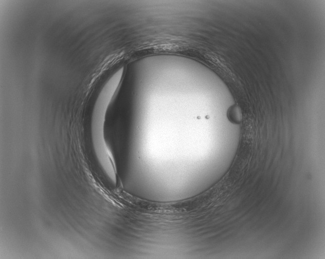 X0000078890738200612111805