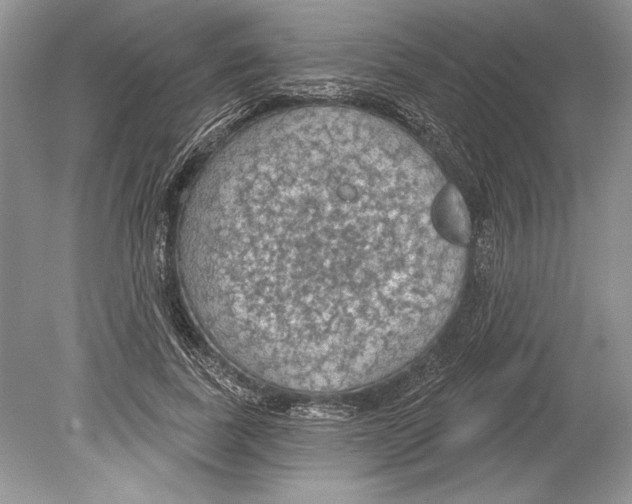 X0000078890739200612111805