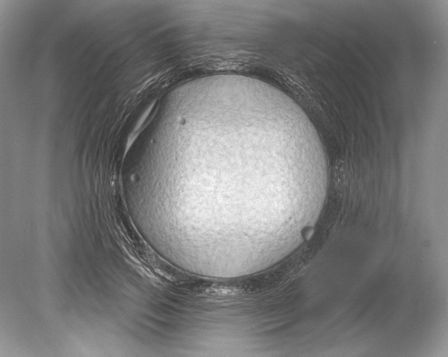 X0000078890741200612111805