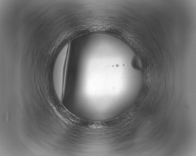 X0000078890742200612111805