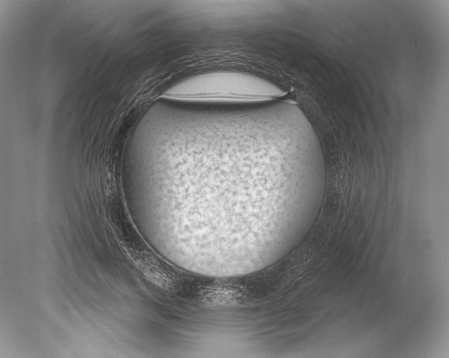 X0000078890743200612111805