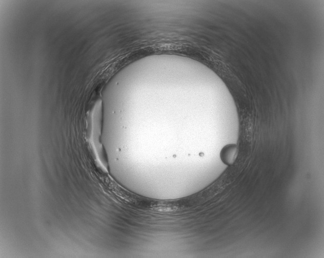 X0000078890746200612111805