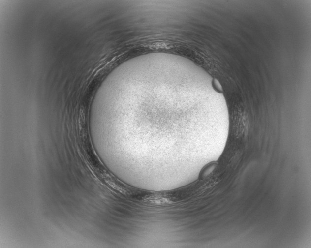 X0000078890747200612111805