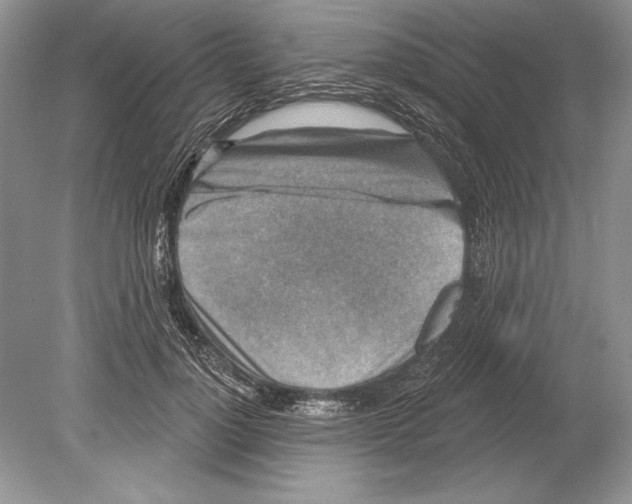 X0000078890748200612111805