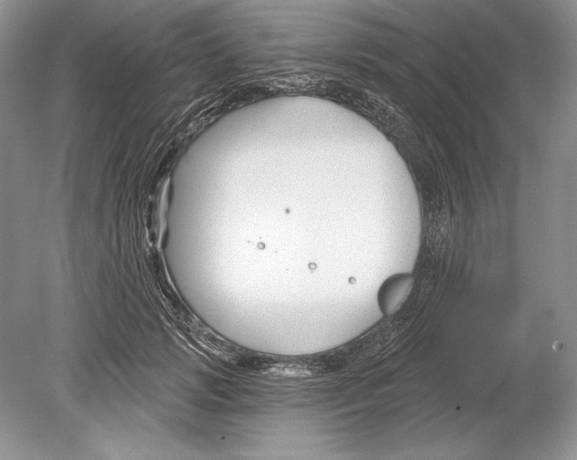 X0000078890749200612111805