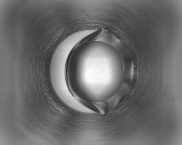 X0000078890750200612111805