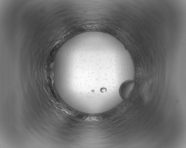 X0000078890751200612111805