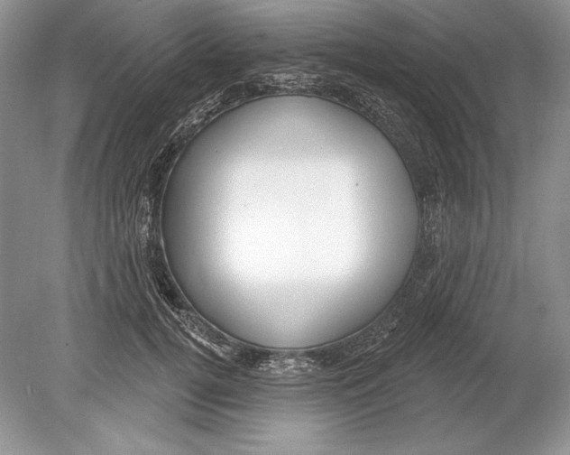 X0000078890752200612111805