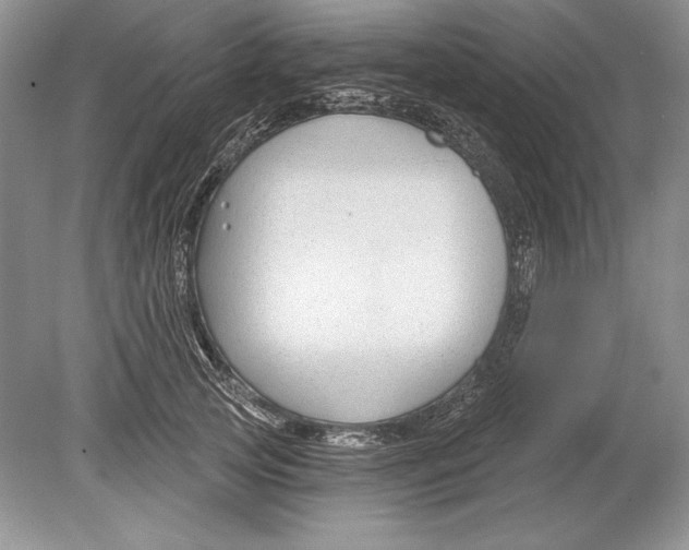 X0000078890753200612111805