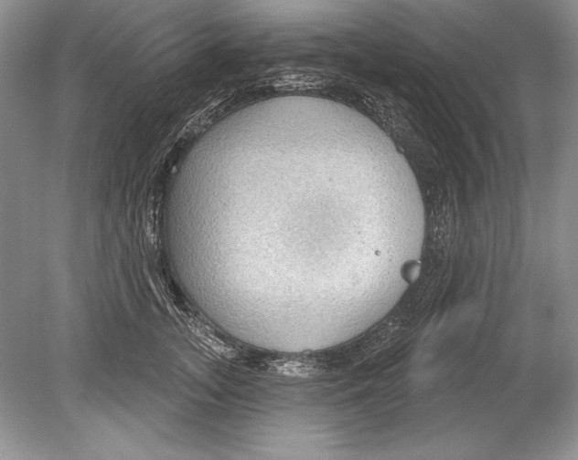 X0000078890755200612111805