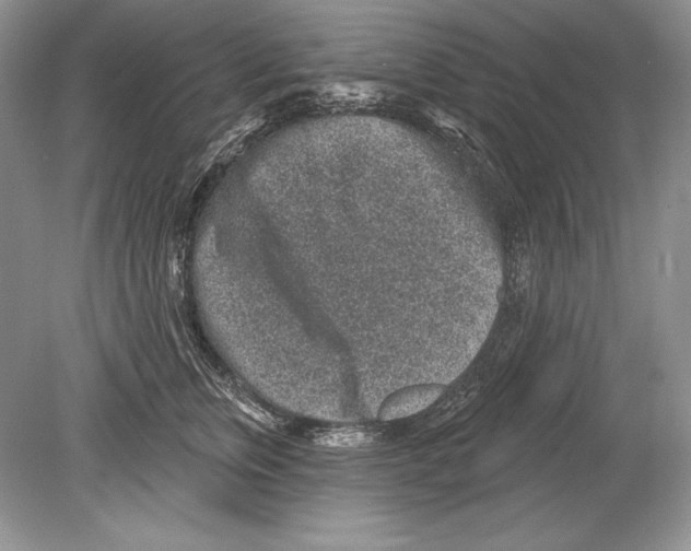 X0000078890759200612111805