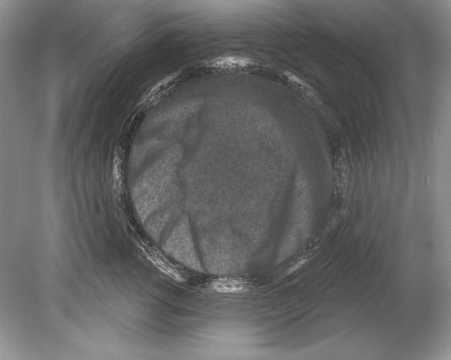 X0000078890762200612111805