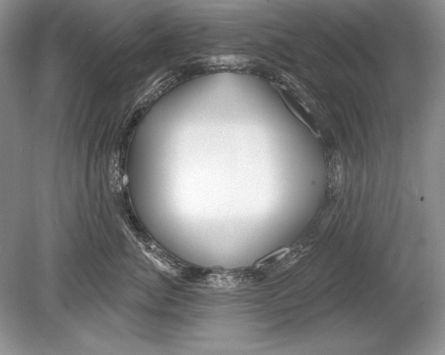 X0000078890764200612111805