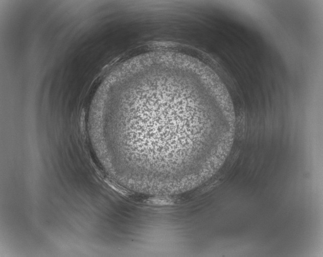 X0000078890765200612111805