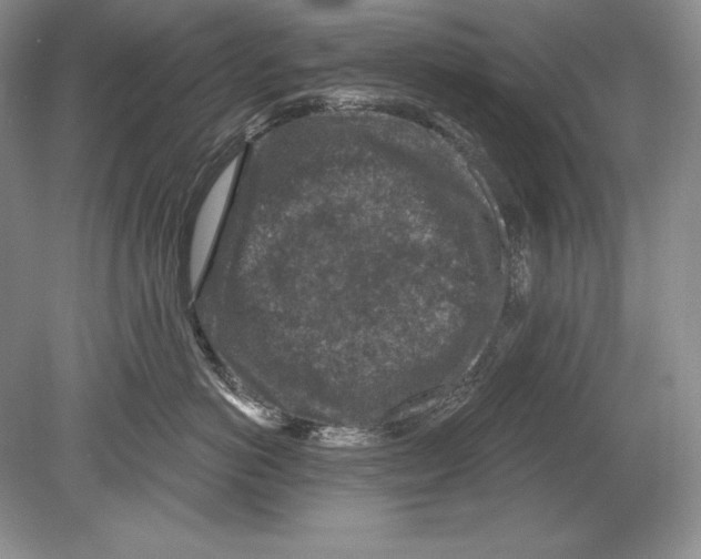 X0000078890766200612111805