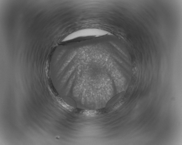 X0000078890767200612111805