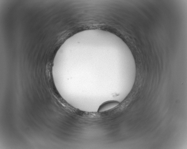 X0000078890768200612111805