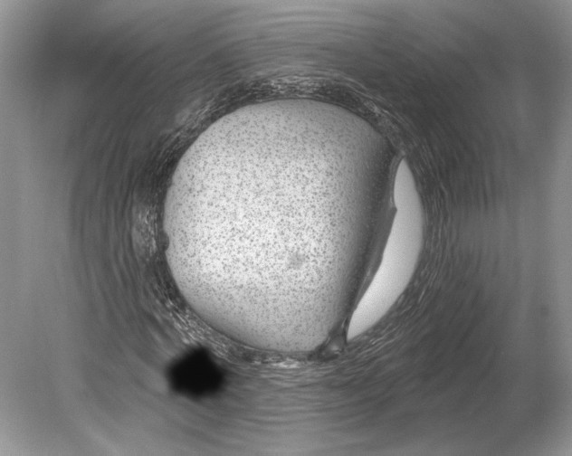 X0000078890772200612111804