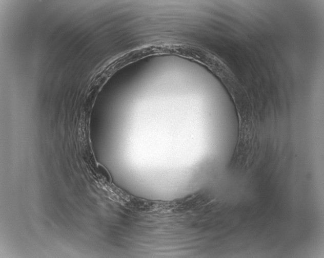 X0000078890773200612111804