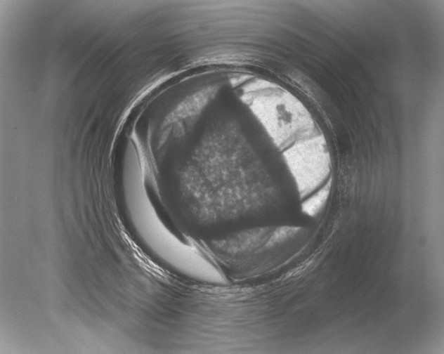 X0000078890779200612111804