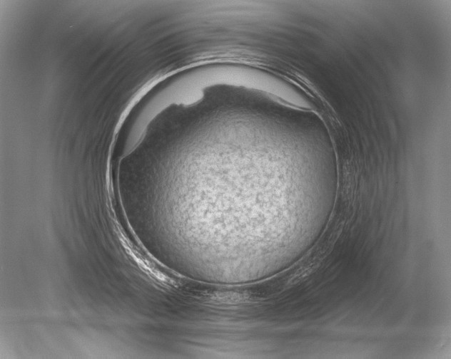 X0000078890788200612111804