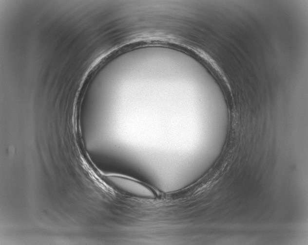 X0000078890791200612111804