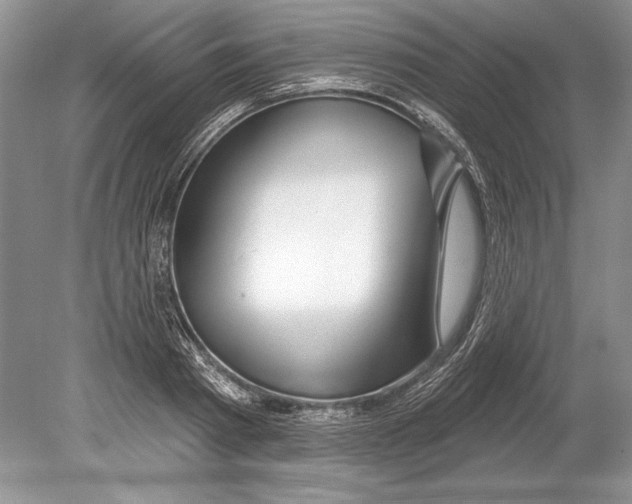 X0000078890793200612111804