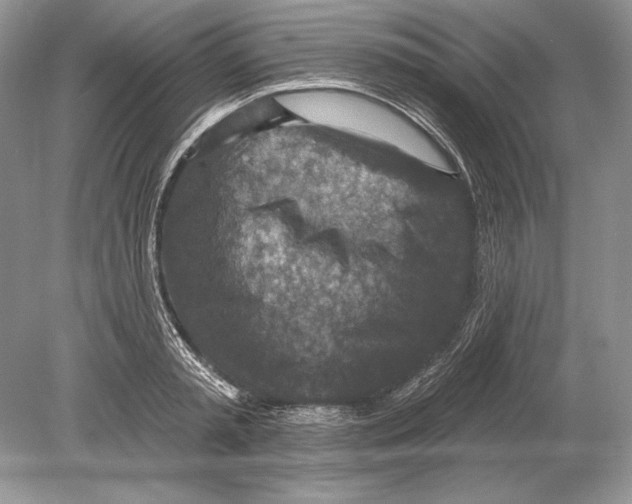 X0000078890797200612111804