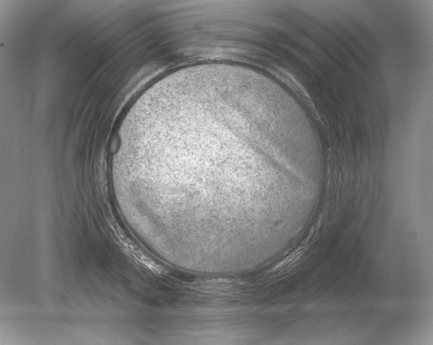 X0000078890798200612111804