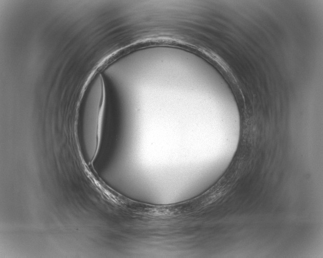 X0000078890799200612111804